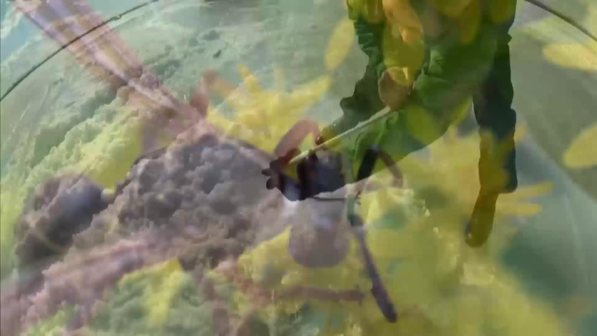 Thumbnail image for Scott Tucker's Expedition Earth Episode 128 - Unthinkable Creatures