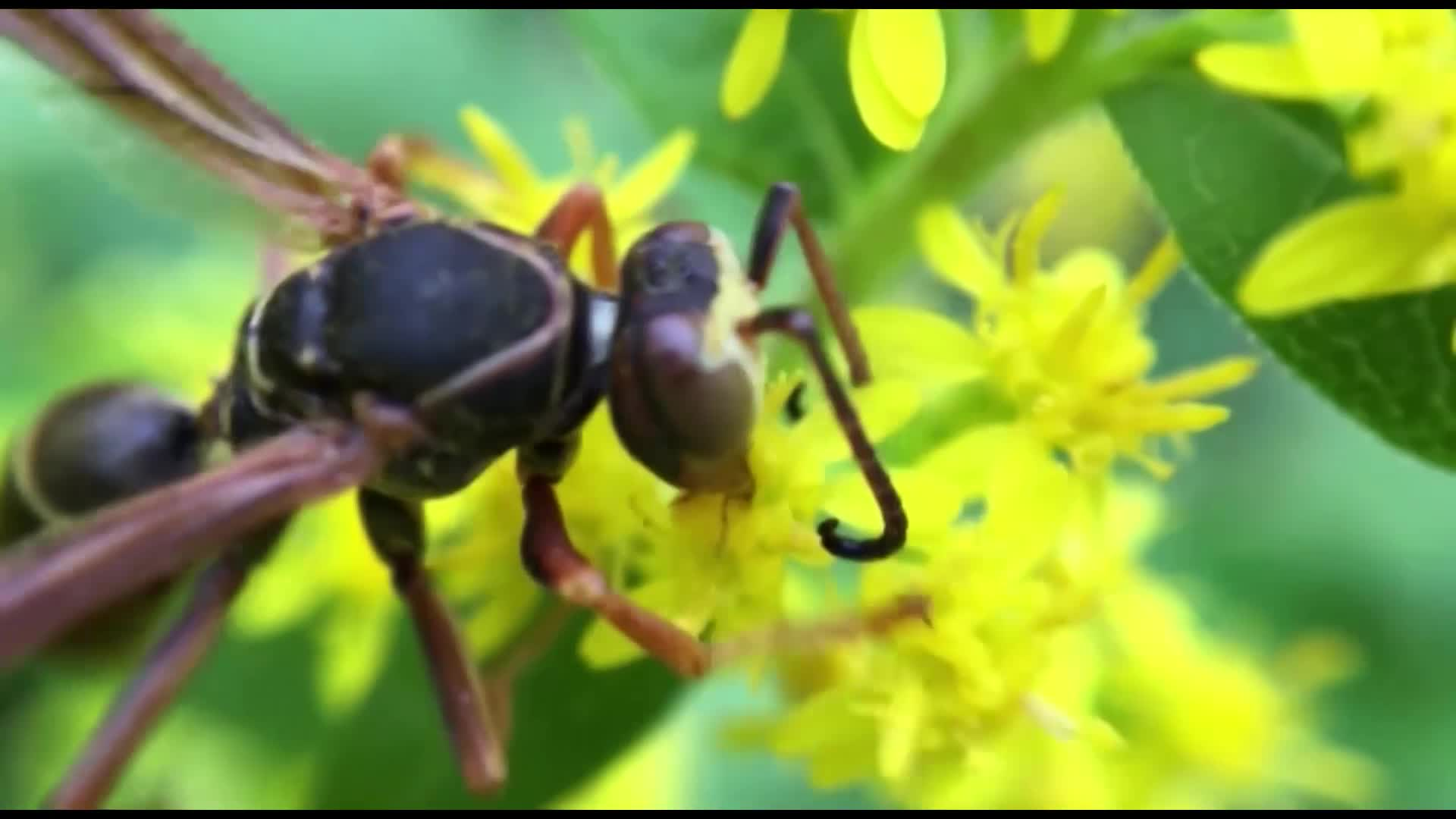 Scott Tucker's Expedition Earth Episode 132 - The Killdeer Incident